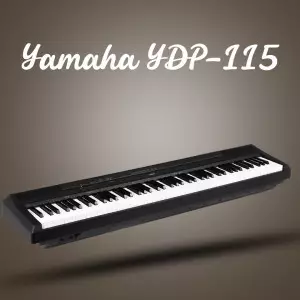  PX 560Mخرید پیانو 